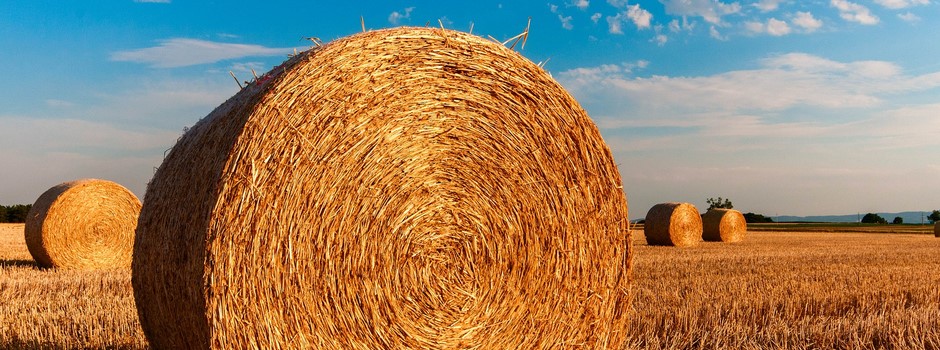 straw-bales-726976_1920.jpg